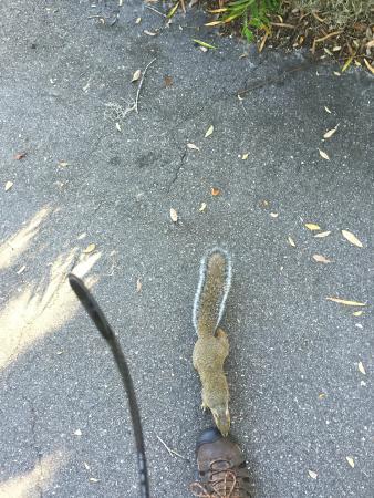 ZooTampa at Lowry Park